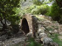 DSCN1360