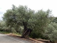 DSCN1363