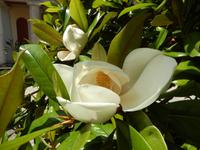 DSCN1544