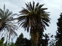 DSCN1589