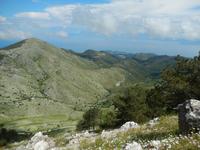 DSCN1720
