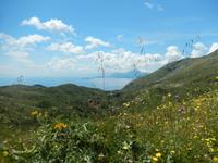 DSCN1747