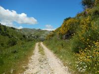 DSCN1753