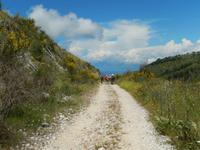 DSCN1758