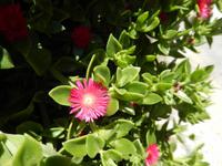 DSCN1824