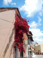 DSCN1825