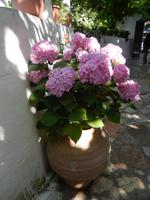 DSCN1861
