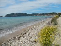 DSCN1912