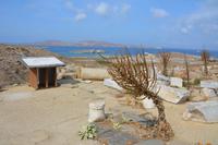 Delos