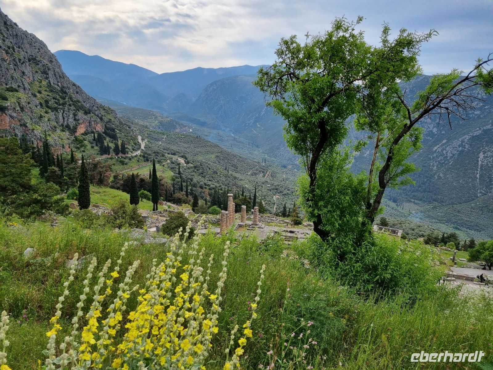 Delphi