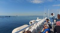 Fähre von Athen auf die Insel Ägina
