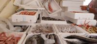 Fischmarkt Griechenland Kykladen Inselhopping @Anette Rietz EHt
