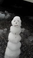 Gewinner des Schneemannwettbewerbs am Brenner