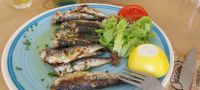 Griechisches Essen mit Fisch Kykladen Griechenland @Anette Rietz EHT