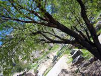 Heiligtum Delphi