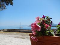 Herrlicher Ausblick