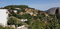 Inselrundfahrt Naxos - Mittagspause im Bergdorf Apiranthos