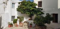 Inselrundfahrt Naxos - Rundgang durch Naxos Stadt