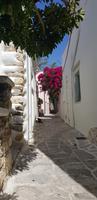 Inselrundfahrt Naxos - Rundgang durch den Ort Halki