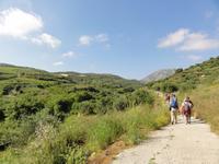 Knosiano Schlucht