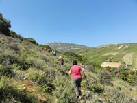 Knosiano Schlucht