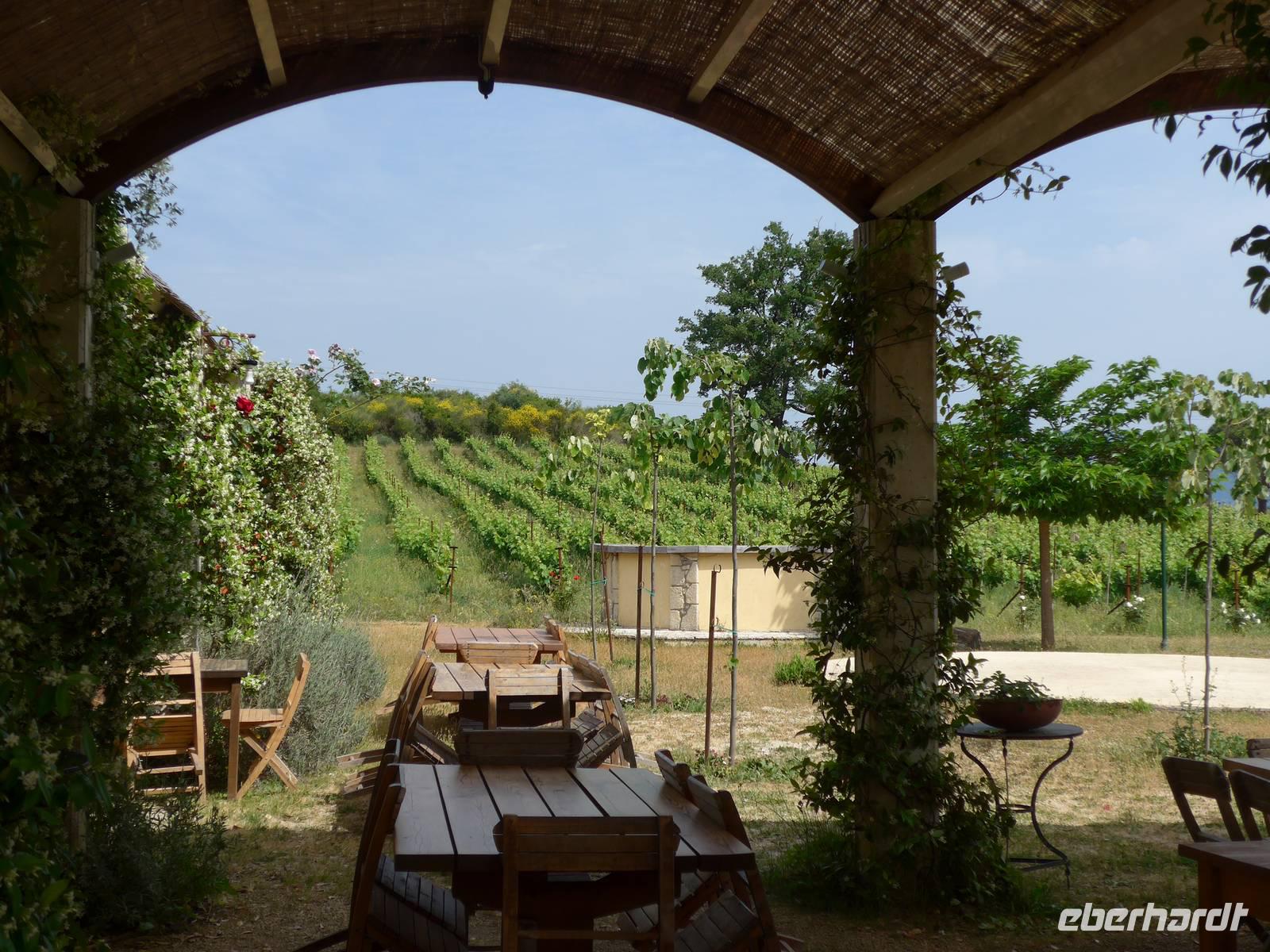 Korfu, Weingut  