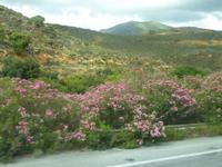 Kreta 
