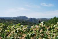 Kreta Wanderung