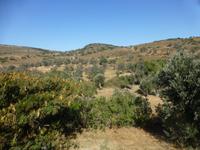 Landesinnere Naxos