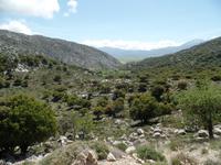 Lassithi-Hochebene
