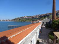 Lesbos, Molivos, Hotel Olive Press