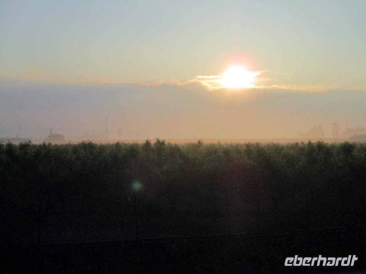 Morgendunst in der Poebene
