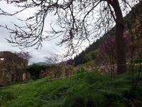 Mystras