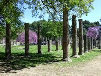 Olympia, Palaistron