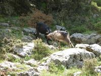 P1080788
