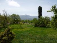 P1080799