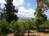 P1090040