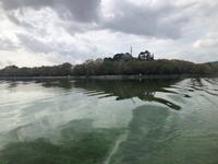 Pambotisee Griechenland
