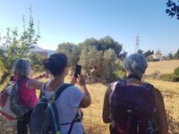 Panorama Wanderung