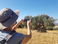 Panorama Wanderung