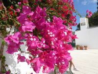 Paros Impressionen