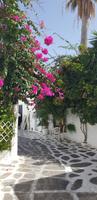 Rundgang durch Mykonos Stadt - Klein Venedig