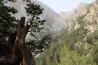 Samaria Schlucht