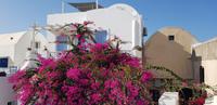 Santorin - Oia 