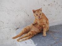 Spaziergang durch Naxos Chora