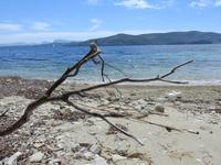 Strand Roter Fels