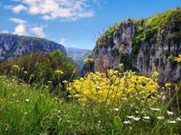 Vikos Schlucht