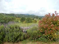 Weingut Triklino