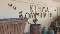 Weinprobe in Olympia, Griechenland, Peloponnes, Produkt