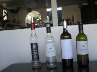 Weinprobe